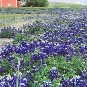 Meet your Posher, Kara